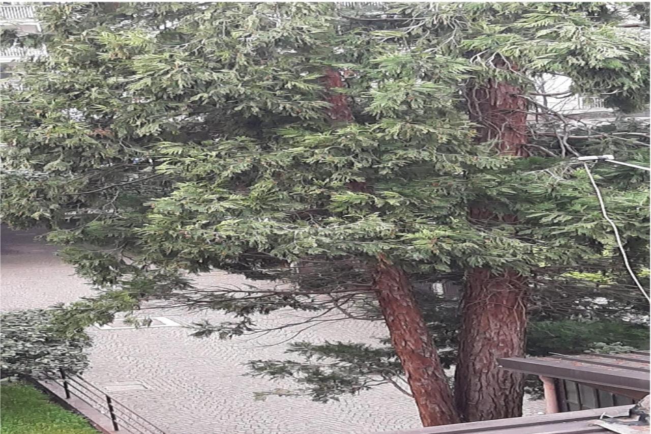Bomboniera Sui Navigli Con A/C & Wi-Fi Lägenhet Milano Exteriör bild